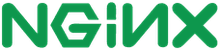 NGINX logo